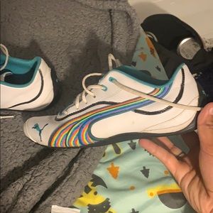 Hand painted puma